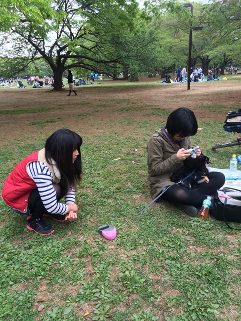 f:id:pnsk:20140421005720j:plain f:id:pnsk:20140421005720j:plain