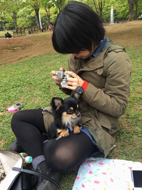 f:id:pnsk:20140421005732j:plain f:id:pnsk:20140421005732j:plain