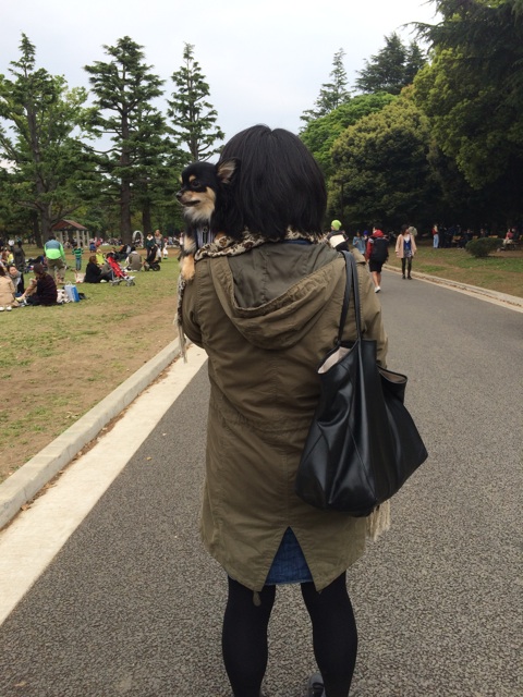 f:id:pnsk:20140421005754j:plain f:id:pnsk:20140421005754j:plain