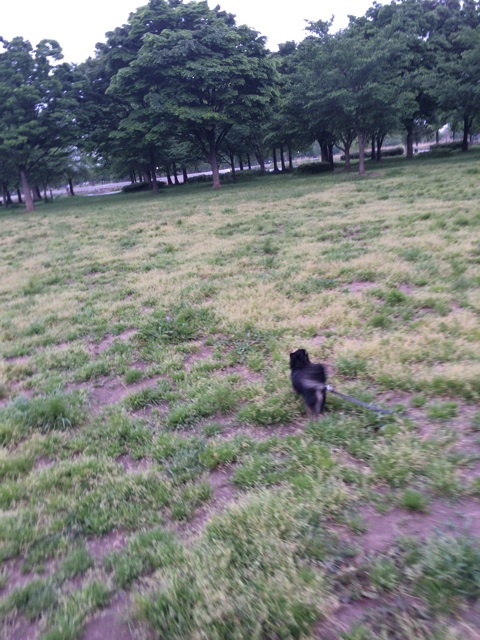 f:id:pnsk:20140506012446j:plain f:id:pnsk:20140506012446j:plain