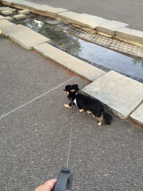 f:id:pnsk:20140512004112j:plain f:id:pnsk:20140512004112j:plain