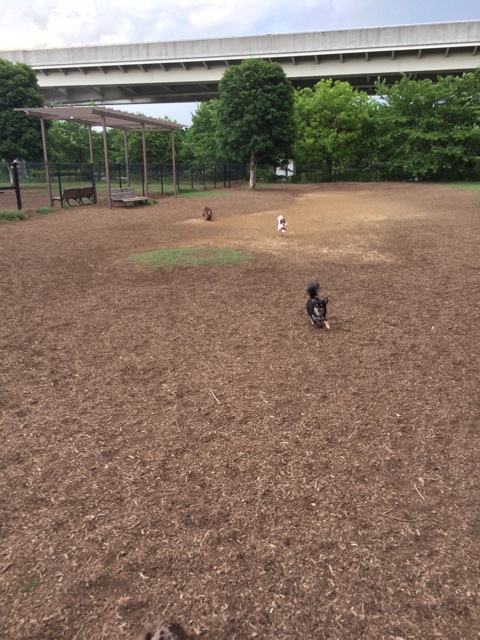 f:id:pnsk:20140517002816j:plain f:id:pnsk:20140517002816j:plain