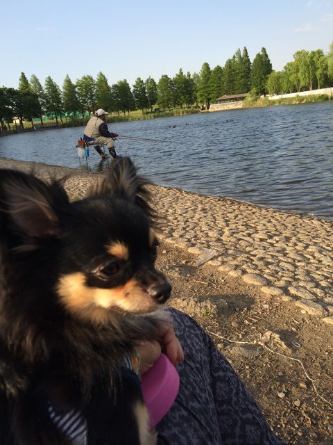 f:id:pnsk:20140517003048j:plain f:id:pnsk:20140517003048j:plain