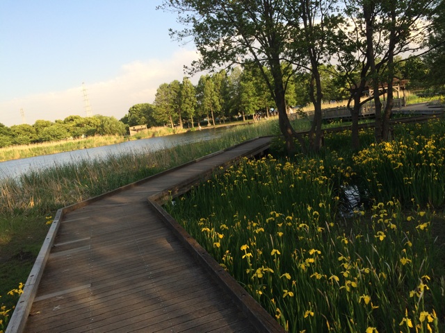 f:id:pnsk:20140517003223j:plain f:id:pnsk:20140517003223j:plain