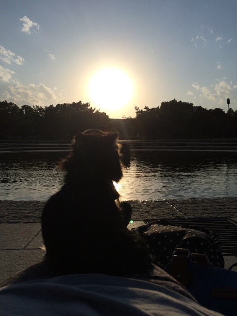 f:id:pnsk:20140517003249j:plain f:id:pnsk:20140517003249j:plain