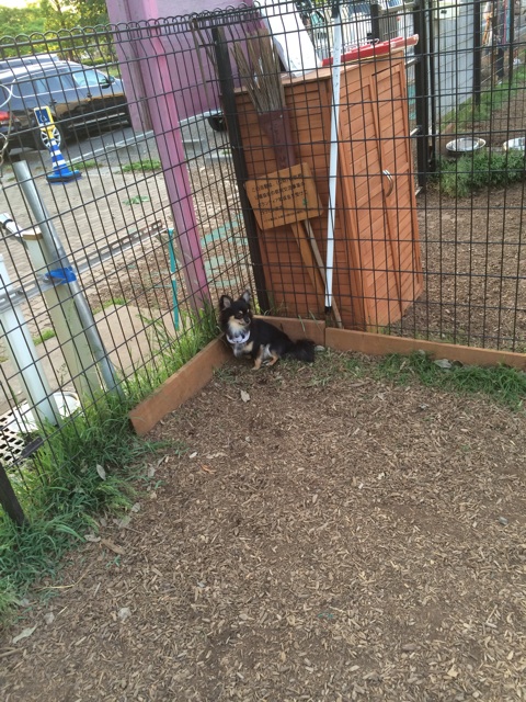 f:id:pnsk:20140517003437j:plain f:id:pnsk:20140517003437j:plain