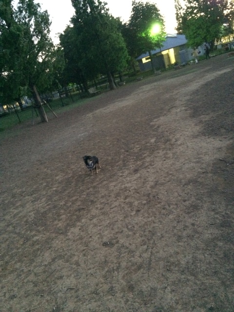 f:id:pnsk:20140517003652j:plain f:id:pnsk:20140517003652j:plain