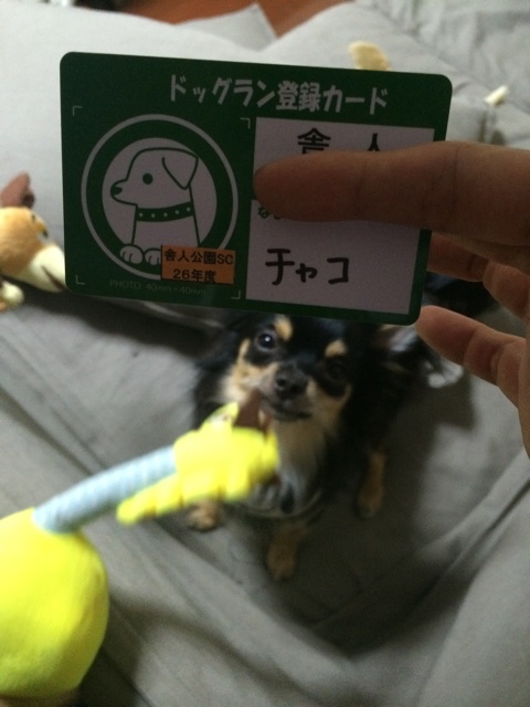 f:id:pnsk:20140517003745j:plain f:id:pnsk:20140517003745j:plain
