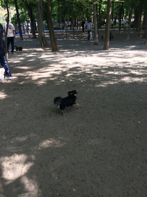 f:id:pnsk:20140518224602j:plain f:id:pnsk:20140518224602j:plain