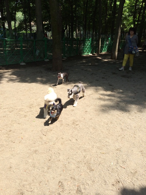 f:id:pnsk:20140527155016j:plain f:id:pnsk:20140527155016j:plain