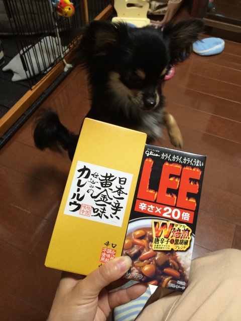 f:id:pnsk:20140530100231j:plain f:id:pnsk:20140530100231j:plain