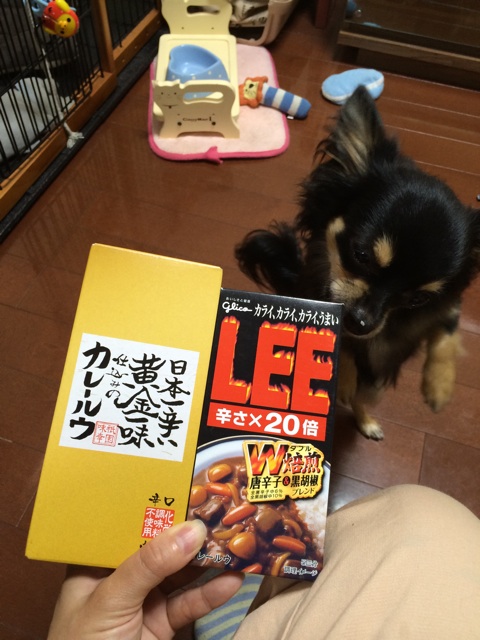 f:id:pnsk:20140530100452j:plain f:id:pnsk:20140530100452j:plain
