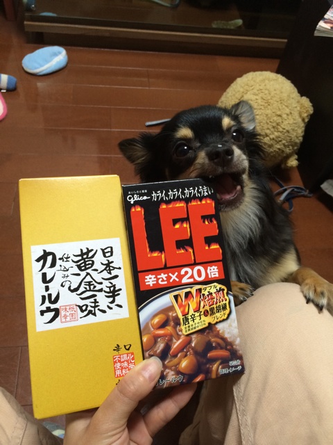 f:id:pnsk:20140530100509j:plain f:id:pnsk:20140530100509j:plain