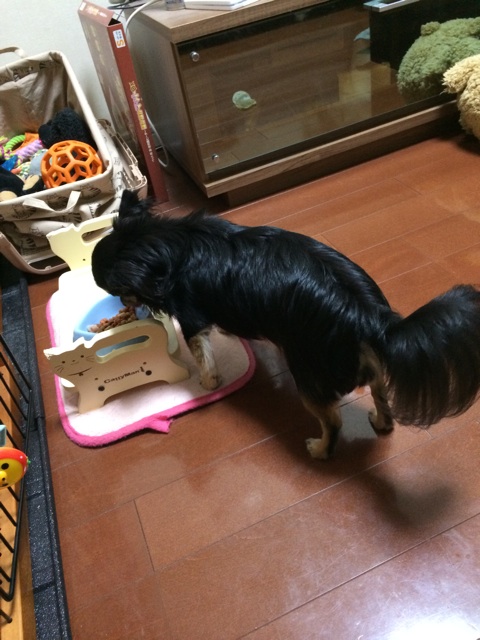 f:id:pnsk:20140607011900j:plain f:id:pnsk:20140607011900j:plain