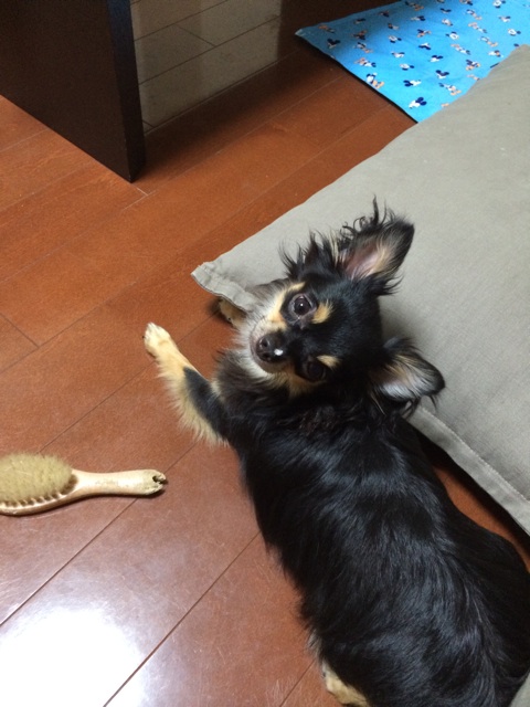 f:id:pnsk:20140607012211j:plain f:id:pnsk:20140607012211j:plain