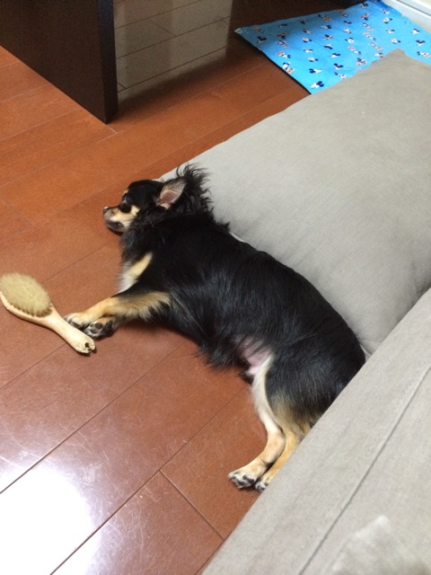 f:id:pnsk:20140607012513j:plain f:id:pnsk:20140607012513j:plain