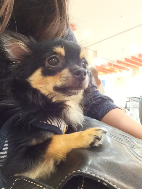 f:id:pnsk:20140608200909j:plain f:id:pnsk:20140608200909j:plain