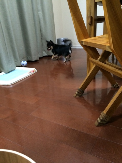 f:id:pnsk:20140608201453j:plain f:id:pnsk:20140608201453j:plain