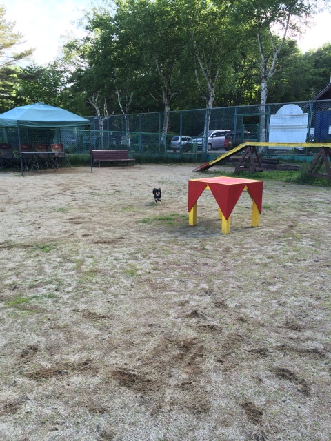 f:id:pnsk:20140614225109j:plain f:id:pnsk:20140614225109j:plain