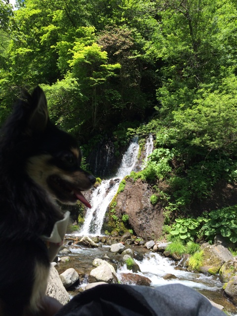 f:id:pnsk:20140616001036j:plain f:id:pnsk:20140616001036j:plain