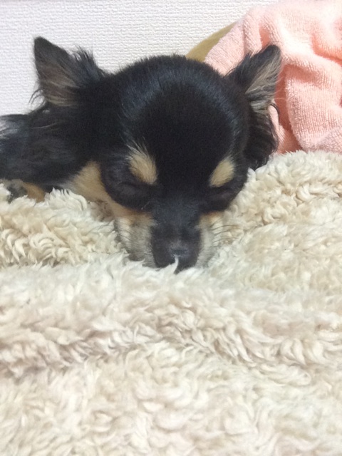 f:id:pnsk:20140616002445j:plain f:id:pnsk:20140616002445j:plain