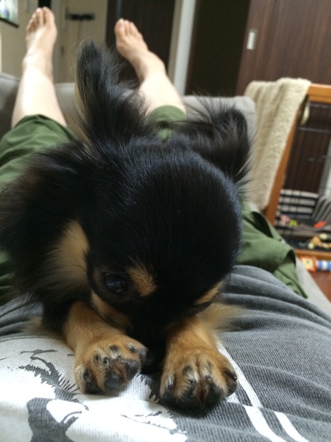f:id:pnsk:20140618234031j:plain f:id:pnsk:20140618234031j:plain