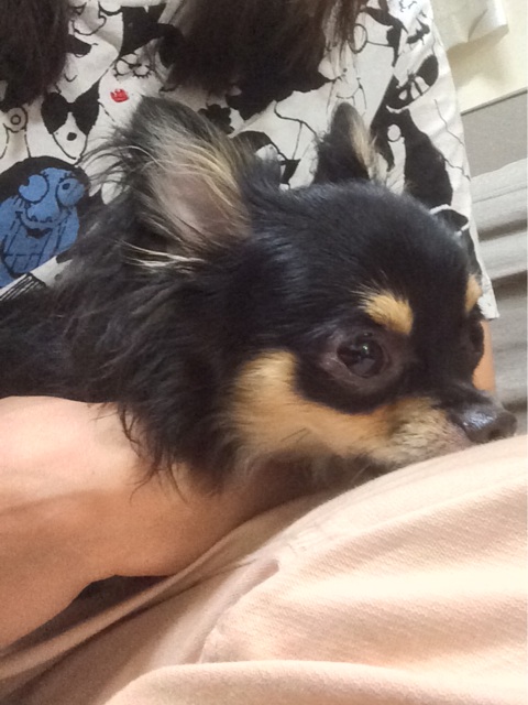 f:id:pnsk:20140630024019j:plain f:id:pnsk:20140630024019j:plain