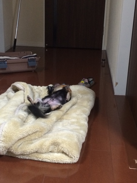 f:id:pnsk:20140705141954j:plain f:id:pnsk:20140705141954j:plain