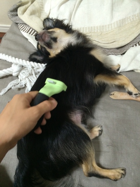 f:id:pnsk:20140707013050j:plain f:id:pnsk:20140707013050j:plain
