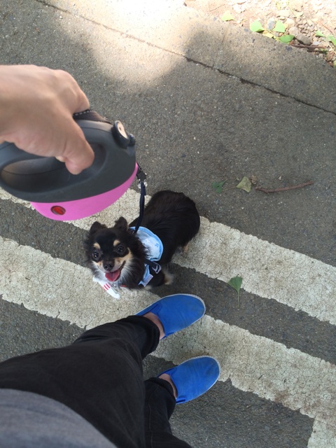f:id:pnsk:20140712225112j:plain f:id:pnsk:20140712225112j:plain