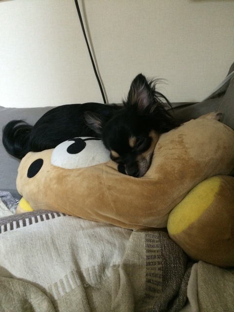 f:id:pnsk:20140818230252j:plain f:id:pnsk:20140818230252j:plain