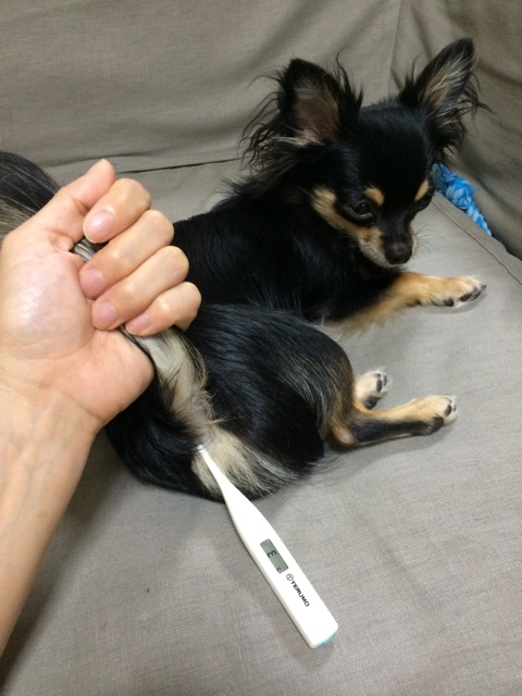 f:id:pnsk:20140819015849j:plain f:id:pnsk:20140819015849j:plain