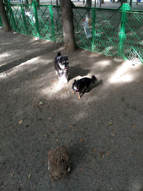 f:id:pnsk:20140824160632j:plain f:id:pnsk:20140824160632j:plain