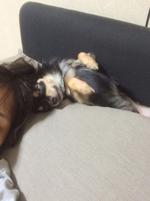 f:id:pnsk:20140908210957j:plain f:id:pnsk:20140908210957j:plain