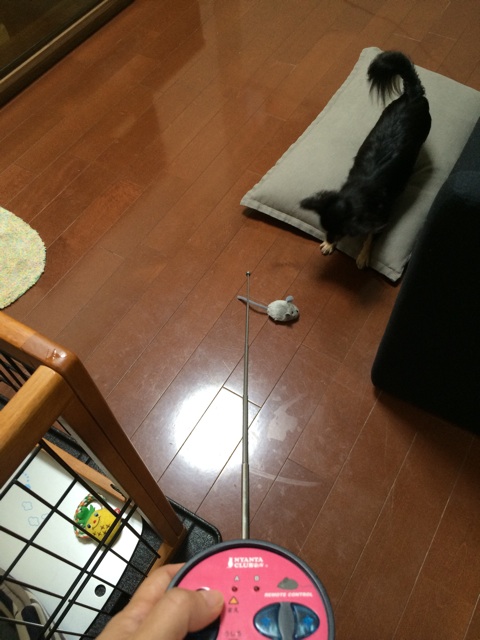 f:id:pnsk:20140914170624j:plain f:id:pnsk:20140914170624j:plain
