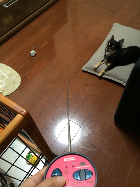 f:id:pnsk:20140914170759j:plain f:id:pnsk:20140914170759j:plain