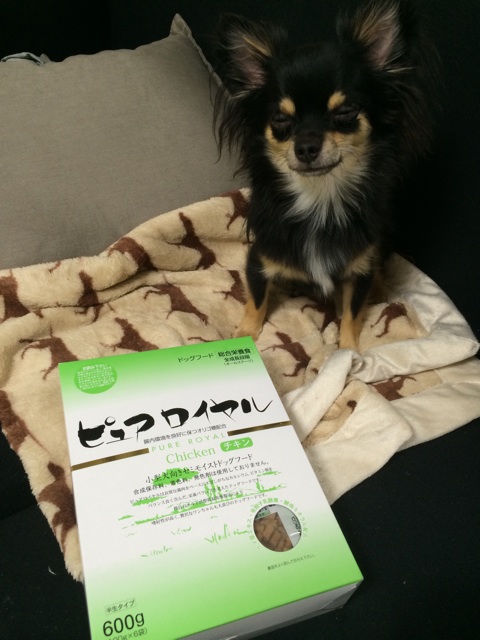f:id:pnsk:20140921192241j:plain f:id:pnsk:20140921192241j:plain