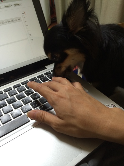 f:id:pnsk:20140930021747j:plain f:id:pnsk:20140930021747j:plain
