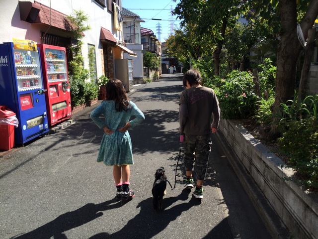 f:id:pnsk:20141019234414j:plain f:id:pnsk:20141019234414j:plain