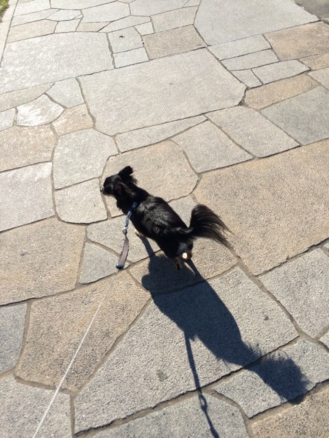 f:id:pnsk:20141116030450j:plain f:id:pnsk:20141116030450j:plain