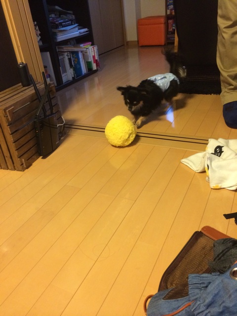 f:id:pnsk:20141202101703j:plain f:id:pnsk:20141202101703j:plain
