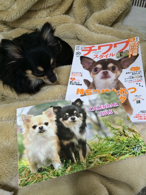 f:id:pnsk:20141202102114j:plain f:id:pnsk:20141202102114j:plain