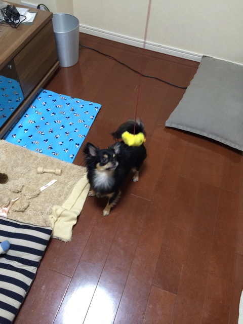 f:id:pnsk:20141206225804j:plain f:id:pnsk:20141206225804j:plain