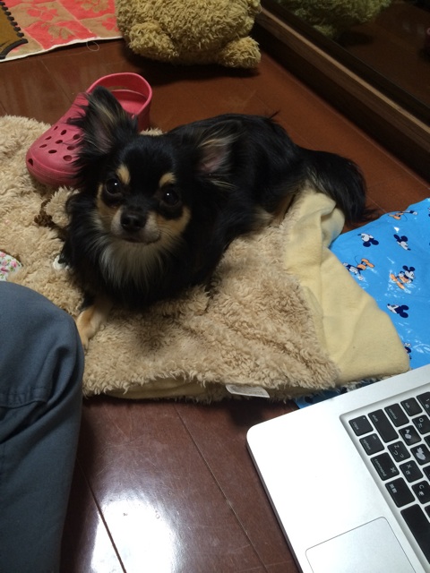 f:id:pnsk:20141213093633j:plain f:id:pnsk:20141213093633j:plain