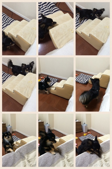 f:id:pnsk:20141228014553j:plain f:id:pnsk:20141228014553j:plain