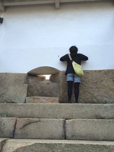 f:id:pnsk:20141230234737j:plain f:id:pnsk:20141230234737j:plain