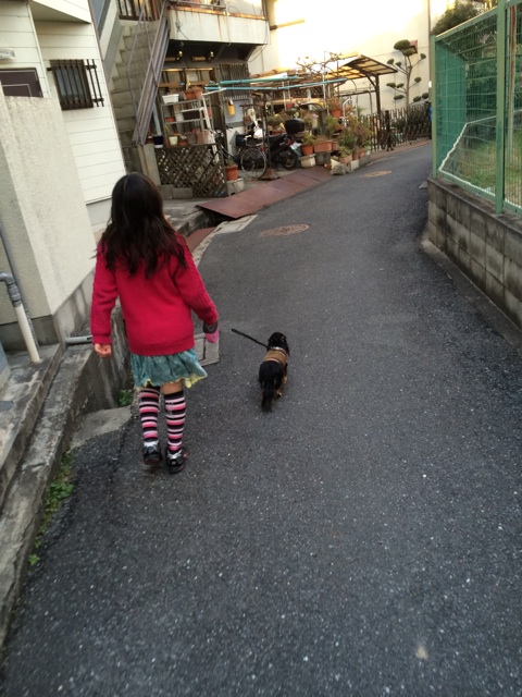 f:id:pnsk:20150103021255j:plain f:id:pnsk:20150103021255j:plain