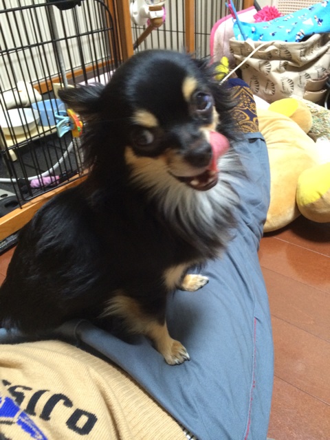 f:id:pnsk:20150106011722j:plain f:id:pnsk:20150106011722j:plain