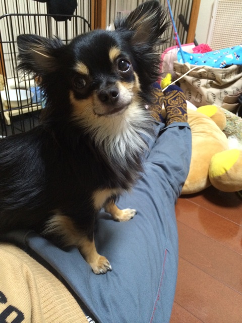 f:id:pnsk:20150106011755j:plain f:id:pnsk:20150106011755j:plain