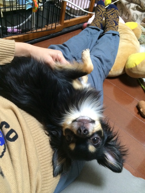 f:id:pnsk:20150106011811j:plain f:id:pnsk:20150106011811j:plain